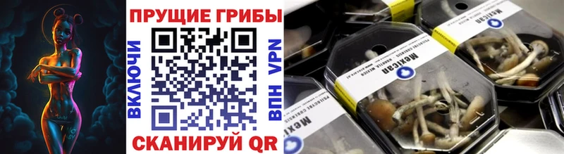 МЕГА tor  мориарти состав  Горнозаводск  Псилоцибиновые грибы Psilocybe  купить  